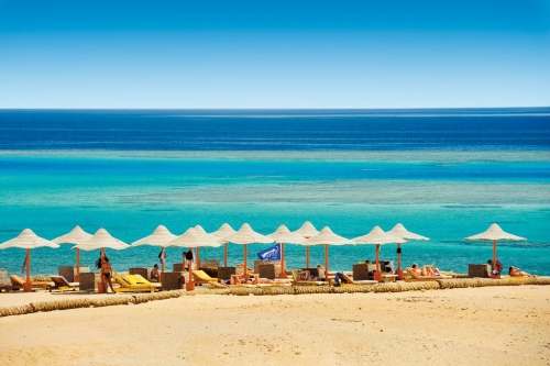Red Sea Tours