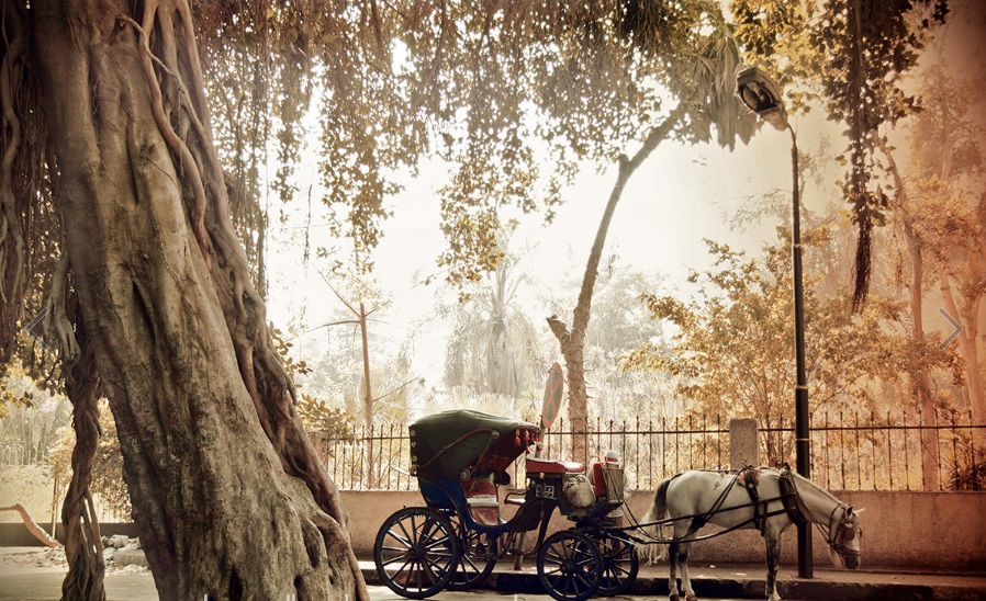 Click to open image!