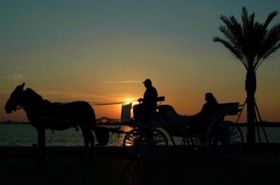 Luxor Horse Carriage Ride Tours