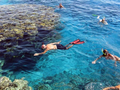 Snorkeling Trip At Satayh Dolphin Reef