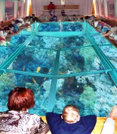 Hurghada Glass Boat Tour